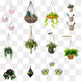 #hangingplants #hanging #plants, HD Png Download - hanging plants png