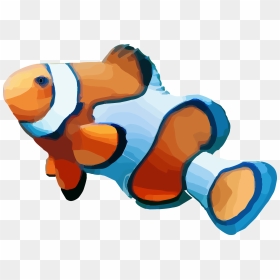 Clownfish Transparent Background , Png Download - Clown Fish Clear Background, Png Download - clownfish png