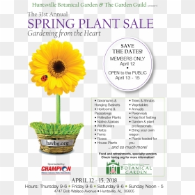 Spring Plant Sale Website - Champion Windows, HD Png Download - hanging plants png