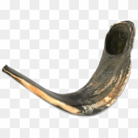 Shofar Horn Png - Shofar, Transparent Png - shofar png