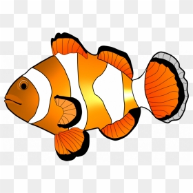 Clown Fish Clipart At Getdrawings - Clown Fish Clipart Black And White, HD Png Download - clownfish png