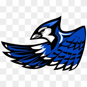 Snook Bluejays, HD Png Download - blue jays logo png
