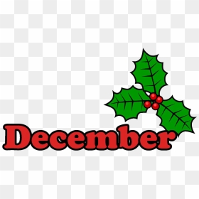 December - American Holly, HD Png Download - december png