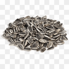 Sunflower Seeds Png, Transparent Png - seeds png