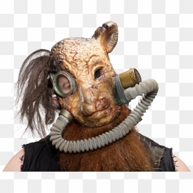 Erick Rowan New - Erick Rowan Mask, HD Png Download - luke harper png