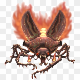 Beetle Png Download Image - Giant Fire Beetle, Transparent Png - beetle png