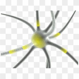 Firing Neuron Clip Arts - Neuron Synapse Png, Transparent Png - neuron png