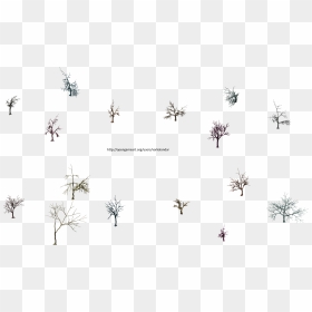 Transparent Dead Trees Png - Monochrome, Png Download - dead trees png