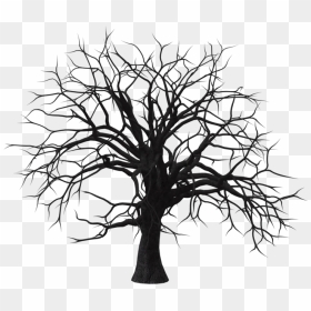 Sumac Tree 01 By Free Stock By Wayne On Clipart Library - Creepy Dark Tree Png, Transparent Png - dead trees png