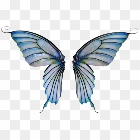 Thumb Image - Transparent Background Fairy Wings Png, Png Download - fairy wings side view png