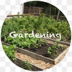 The Homestud Gardening , Png Download - Yard, Transparent Png - gardening png