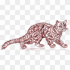 Transparent Woah Png - Illustration, Png Download - woah png