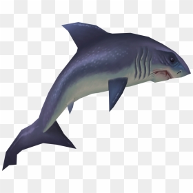The Runescape Wiki - Runescape Shark, HD Png Download - shark.png
