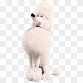 Poodle From Life Of Pets, HD Png Download - secret life of pets png
