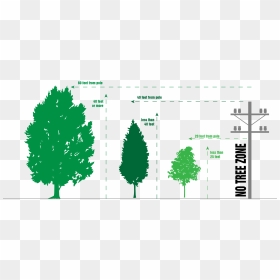 If Trees In Your Area Are Growing Into Power Lines, - Tree Planting And Power Lines, HD Png Download - power lines png