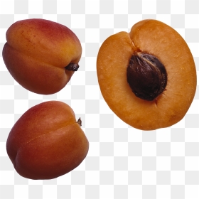 Fruits And Seeds Png , Png Download - Fruit And Seed Png, Transparent Png - seeds png