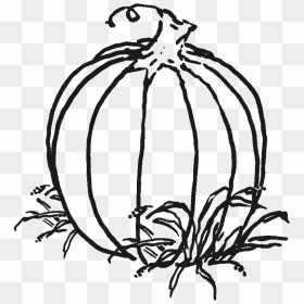 Pumpkin Clipart Leaf - October Clipart Black And White, HD Png Download - pumpkin outline png