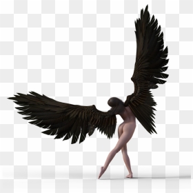 White Stork, HD Png Download - fairy wings side view png