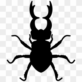 Stag Beetle Insect Animal Shape - Stag Beetle Icon, HD Png Download - beetle png