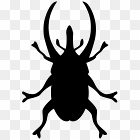 Beetle Nature, HD Png Download - beetle png