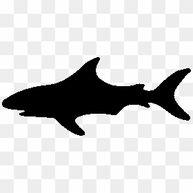 White Shark Clip Art Gallery - Silhouette Clipart Shark, HD Png Download - shark.png