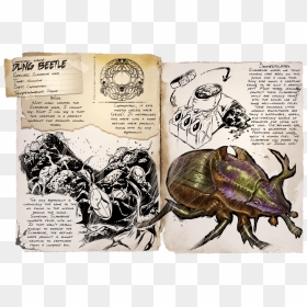 Bousier Ark, HD Png Download - beetle png