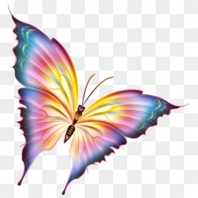 Beautiful Butterfly Pictures Png, Transparent Png - fairy wings side view png