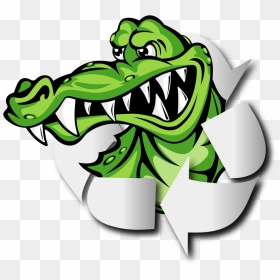Gator"s Metal Recycling - Alligators, HD Png Download - gators png