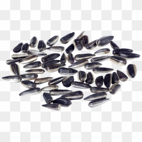 Sunflower Seeds - Sunflower Seed, HD Png Download - seeds png