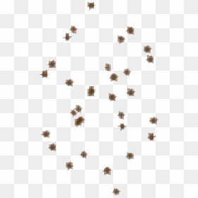 Khaki, HD Png Download - bat swarm png