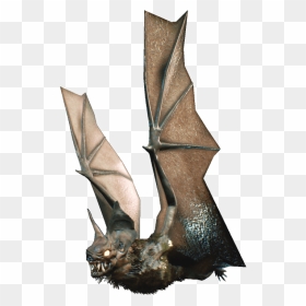 The Wiki Of The Dead - Big Brown Bat, HD Png Download - bat swarm png