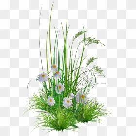 Flower Gardening Clipart Banner Library Download Png - Flower Images Hd Png, Transparent Png - gardening png