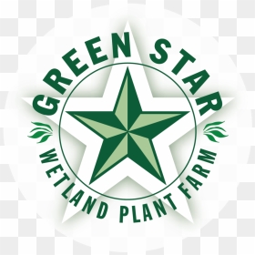 Green Star Png, Transparent Png - green star png
