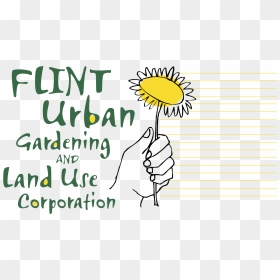 Sunflower, HD Png Download - gardening png