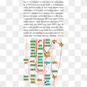 Diagram, HD Png Download - pathway png
