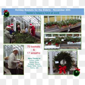 Holiday Pictures For Elderly Copy - Greenhouse, HD Png Download - greenhouse png