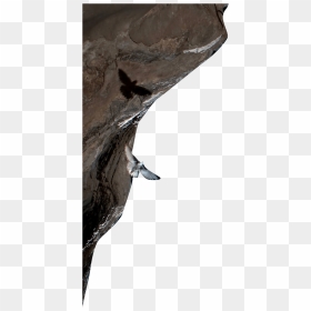 Rock Climbing, HD Png Download - bat swarm png