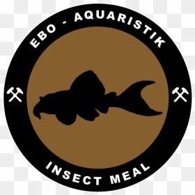 Insect Meal, HD Png Download - meal png