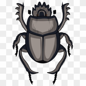 Scarabaeus Dung Beetle Clipart - Dung Beetle Clipart, HD Png Download - beetle png