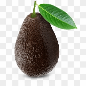 Avocado Hass Png, Transparent Png - avacado png