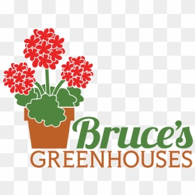 Transparent Potted Flowers Png - Bruce's Greenhouse, Png Download - greenhouse png