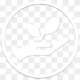 Picture22 - Alonso Gamero, HD Png Download - focus png