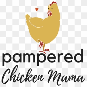 Pampered Chicken Mama Raising Backyard Chickens & Eggs - Rooster, HD Png Download - chickens png
