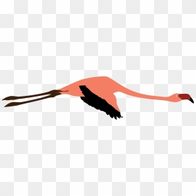 Flamingo Clipart Flying - Illustration, HD Png Download - flying png