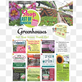 Go East Greenhouse Tour - Garden Greenhouse Ads, HD Png Download - greenhouse png