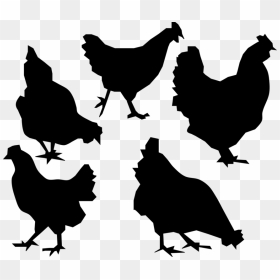 Silhouette Chicken Clipart, HD Png Download - chickens png