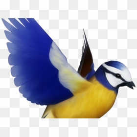 Transparent Flying Bird Clipart - Bird Png, Png Download - flying png