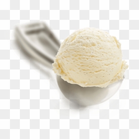 Vanilla Bean - Vanilla Bean Ice Cream Png, Transparent Png - vanilla bean png