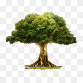 Transparent African Tree Png - Large Tree Png, Png Download - trees background png