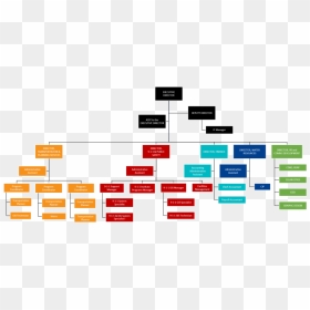 Acog Organizational Chart Org Template Word Icon - Org Chart With Executive Assistant, HD Png Download - word icon png